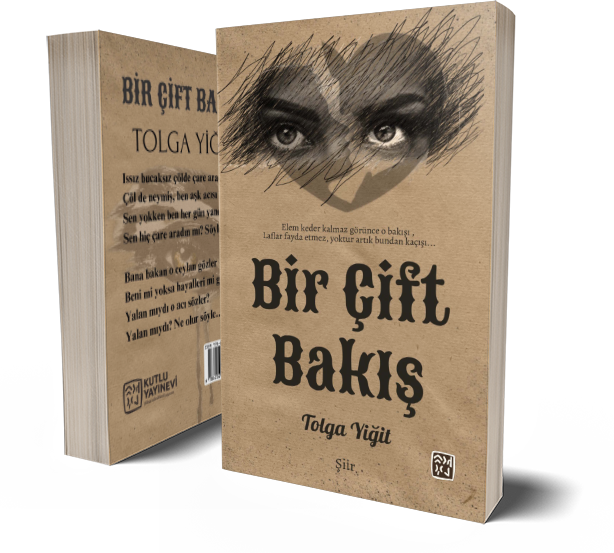 Bir Çift Bakış - Tolga Yiğit