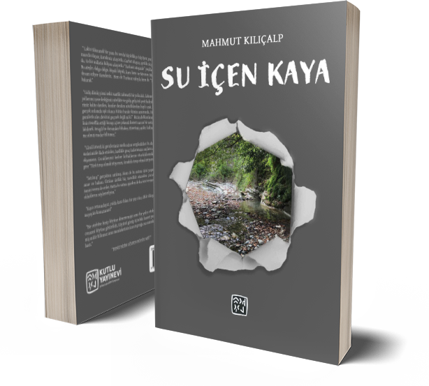 Su İçen Kaya - Mahmut Kılıçalp