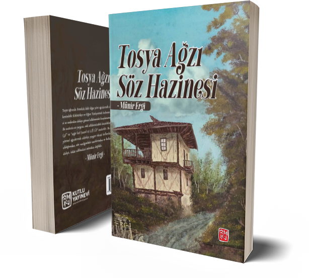 Tosya Ağzı Söz Hazinesi - Münir Ergi