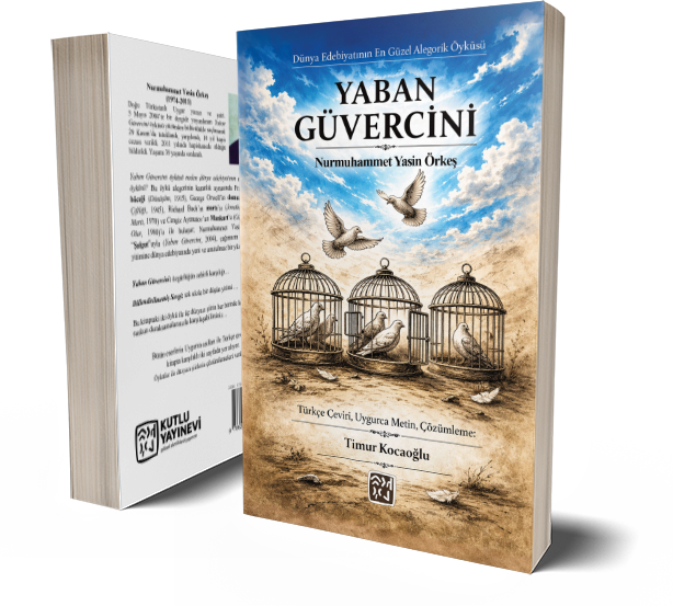 Yaban Güvercini - Timur Kocaoğlu